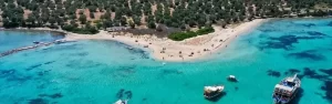 İzmir Adnan Menderes Havalimanı – Dikili VIP Transfer