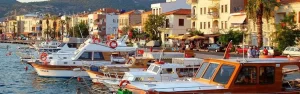 İzmir Adnan Menderes Havalimanı – Foça VIP Transfer